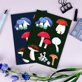 Carte postale champignons bleu 3