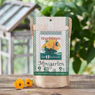 Mini garden - marigolds