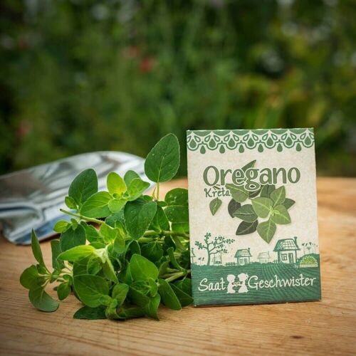 Saatgut - Oregano #kräuter