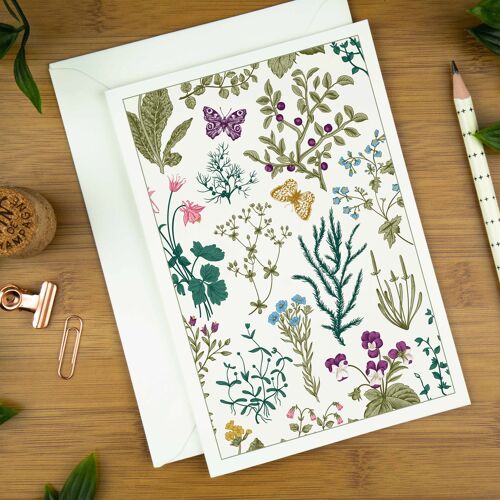 Wild Meadow & Butterflies, Botanical Art Greeting Card.