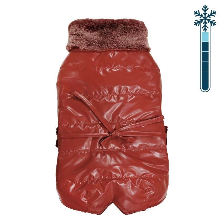 Hundejacken – Bull Chic