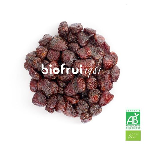 Fraise Senga Bio des Alpes Dinariques séchée | Sac vrac 1 kg