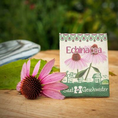 Seeds - Echinacea #medicinal plant