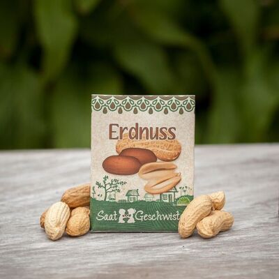 Saatgut - Erdnuss Samen I Geschenk für Garten und Naturfreunde