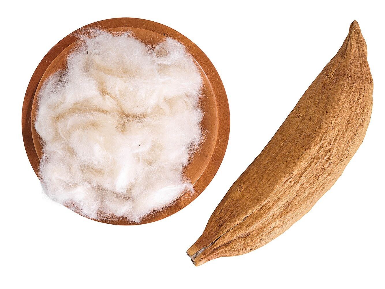 Kapokfasern - Premium Qualität