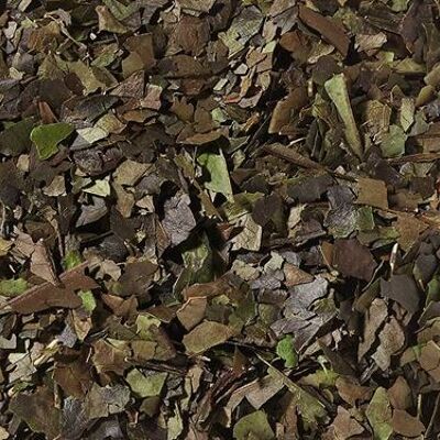 Guayusa biologica 100g