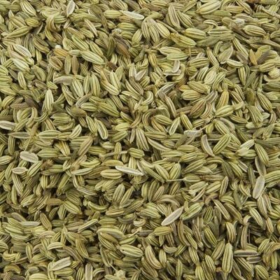 FENNEL GRAINS 100G