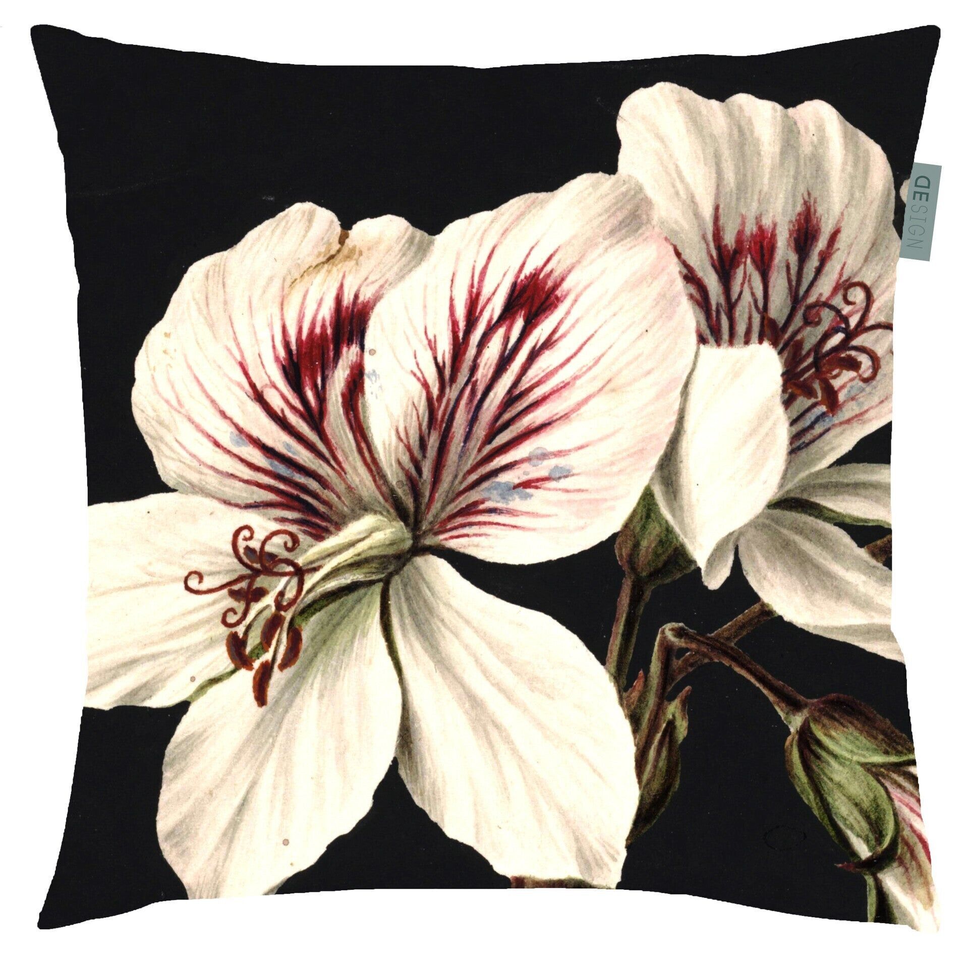 Cushion cover CLARO | 50x50 | soft velvet