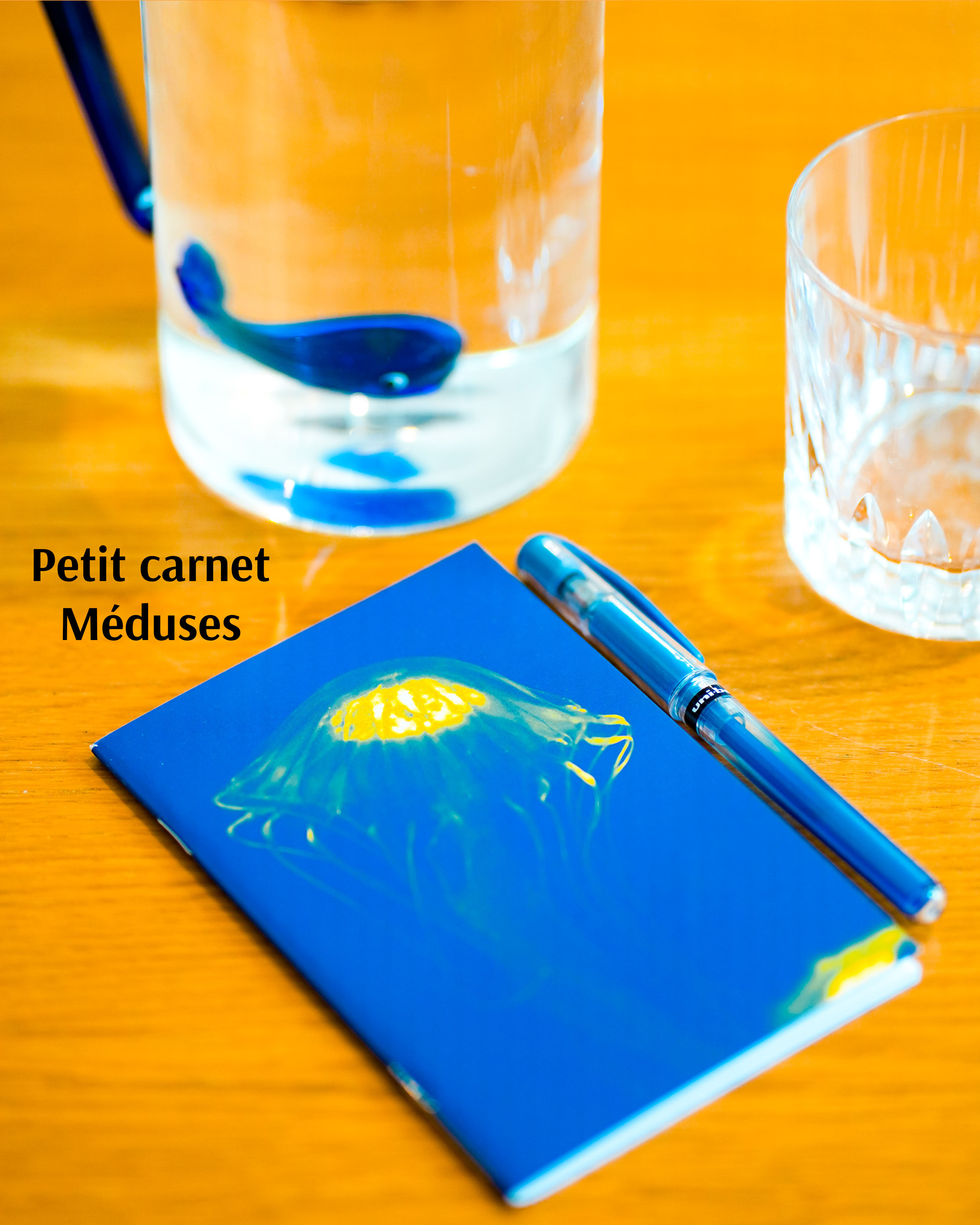 A6 notebook - Jellyfish animals - 64 lined pages
