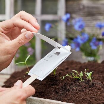 Salutations de semences - le jardinage est moins cher que la thérapie 2