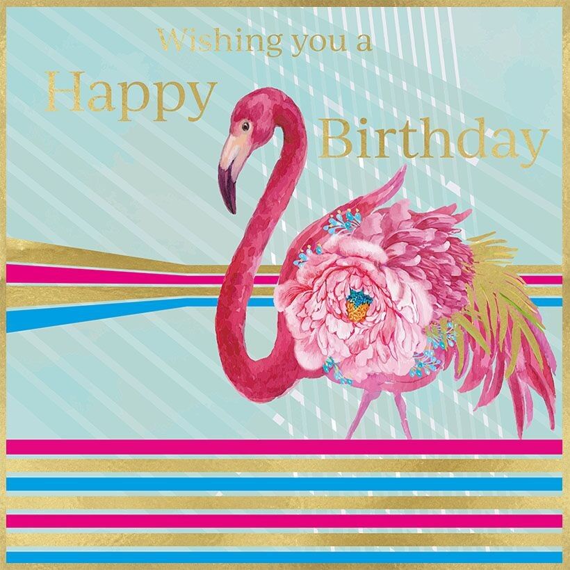 Aurora - Compleanno di fenicotteri