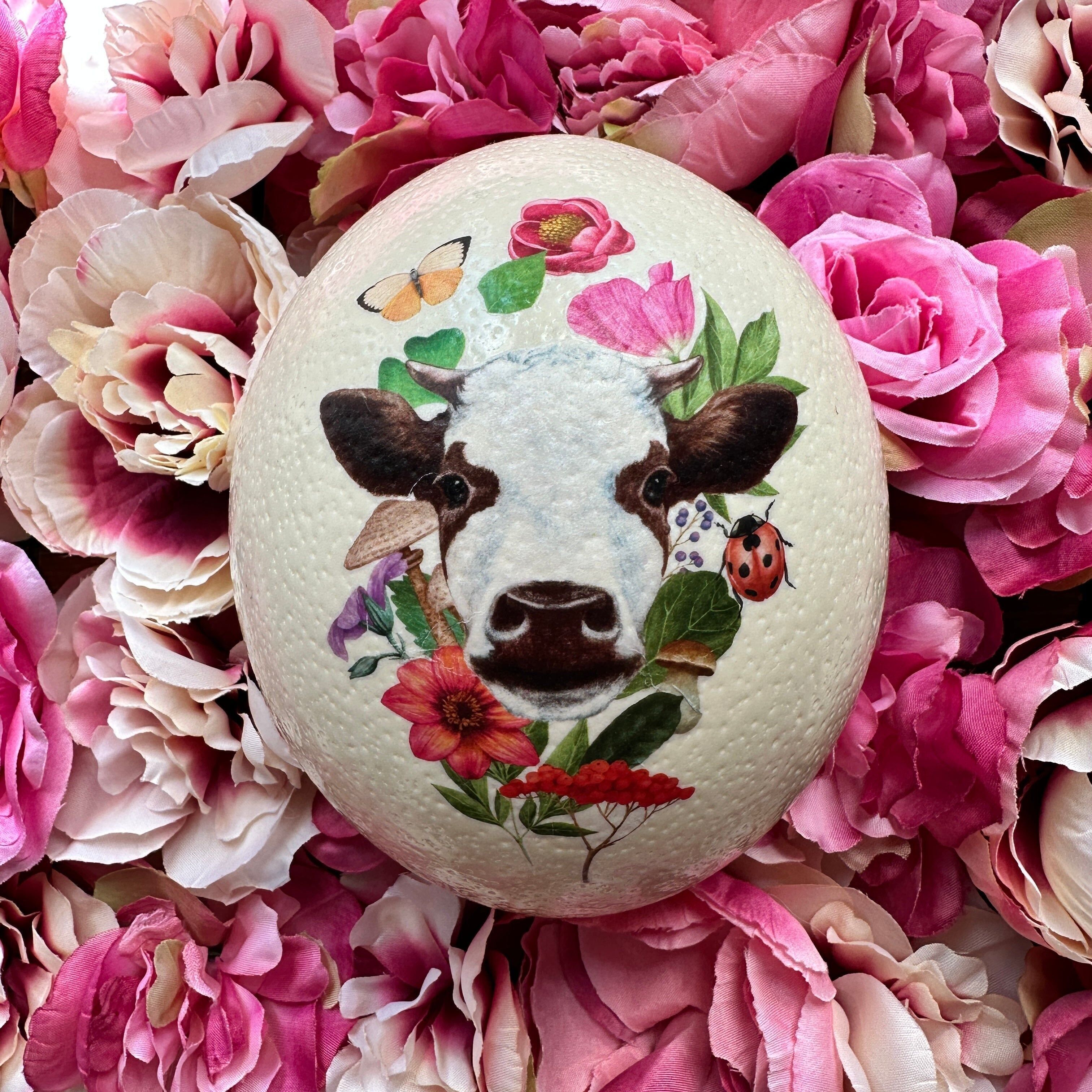 Uovo di struzzo “Kuh-le Kuh”