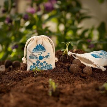 Bombes de graines - sacs de jute - marguerites 1