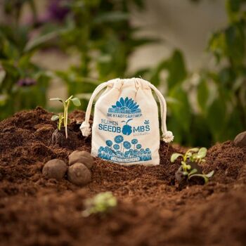 Bombes de graines - sacs de jute - marguerites 2