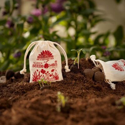 Bombas de semillas - Bolsas de yute - Campo de maíz en flor