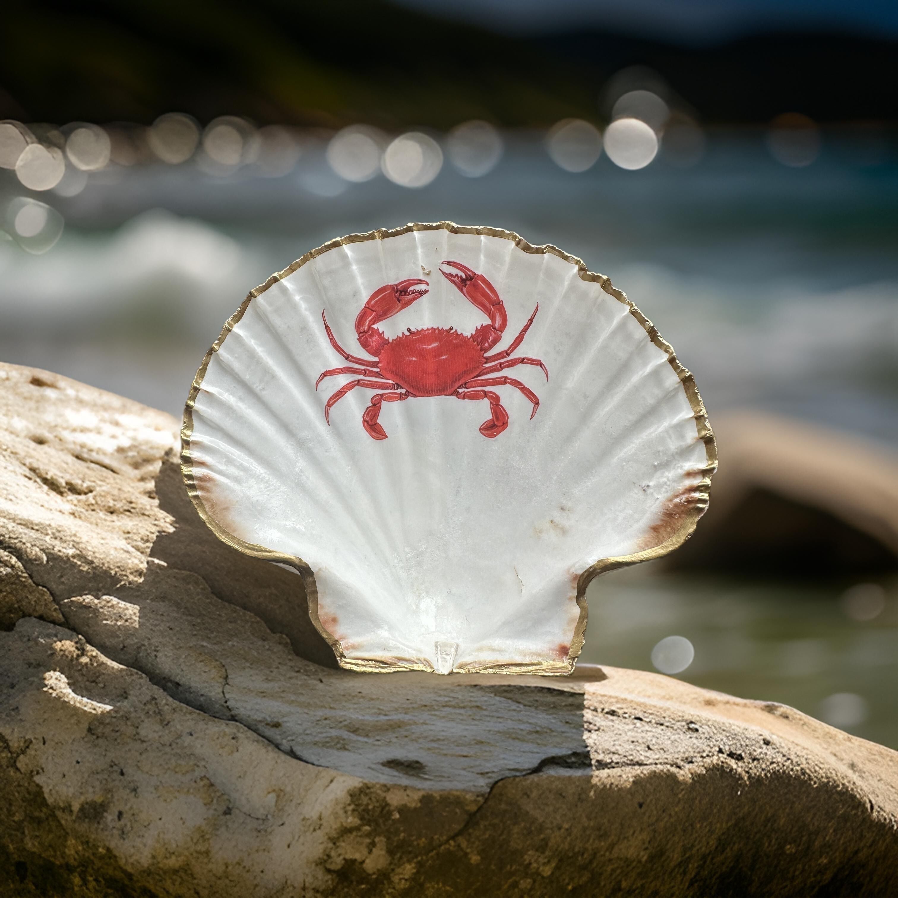 Guscio di cozza "Cancro" 2 dimensioni e 3 bordi
