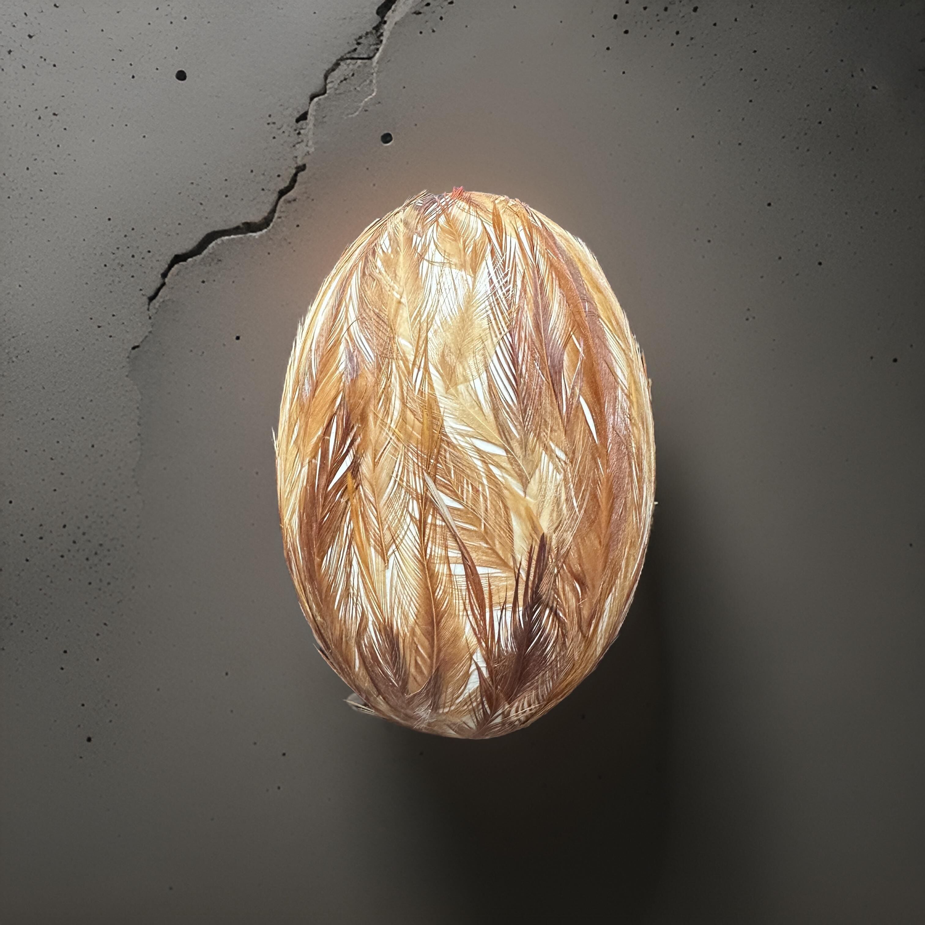 Nanduei rifinito con vere piume incrociate di gallo