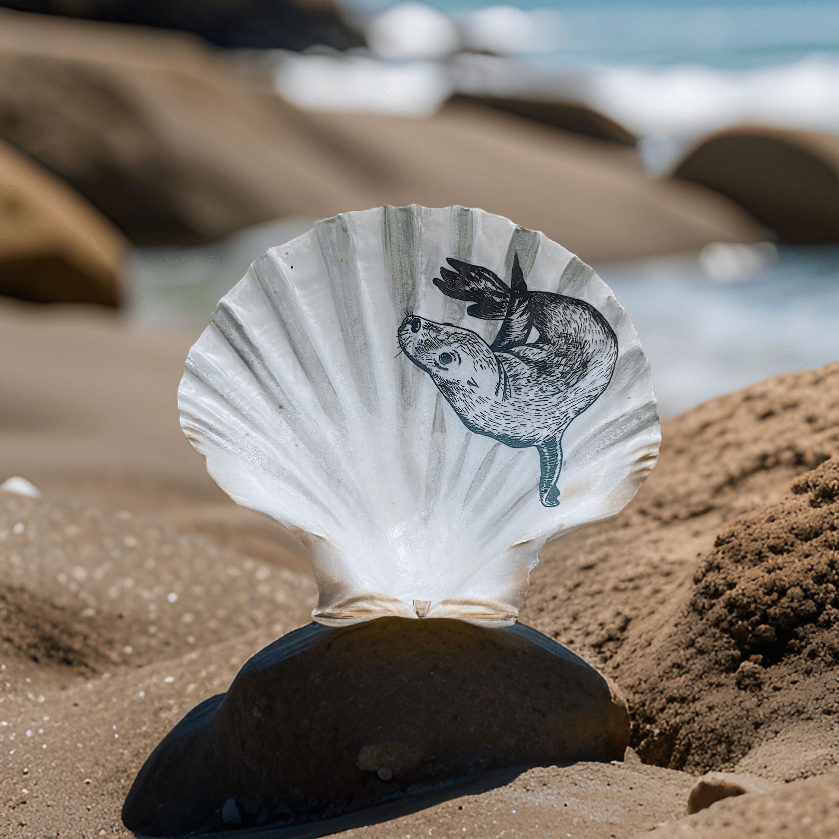 Conchiglia "Robbe", 2 misure e varianti di bordi