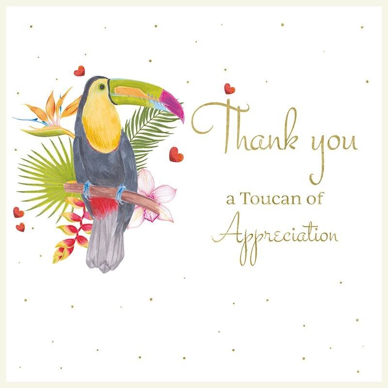 Blossom Love Un tucano di apprezzamento