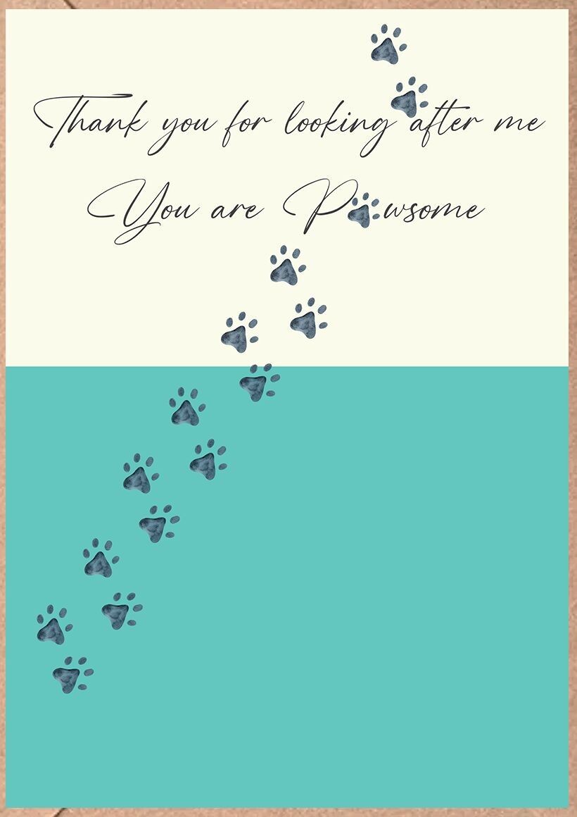 Mango - Gracias por cuidarme.