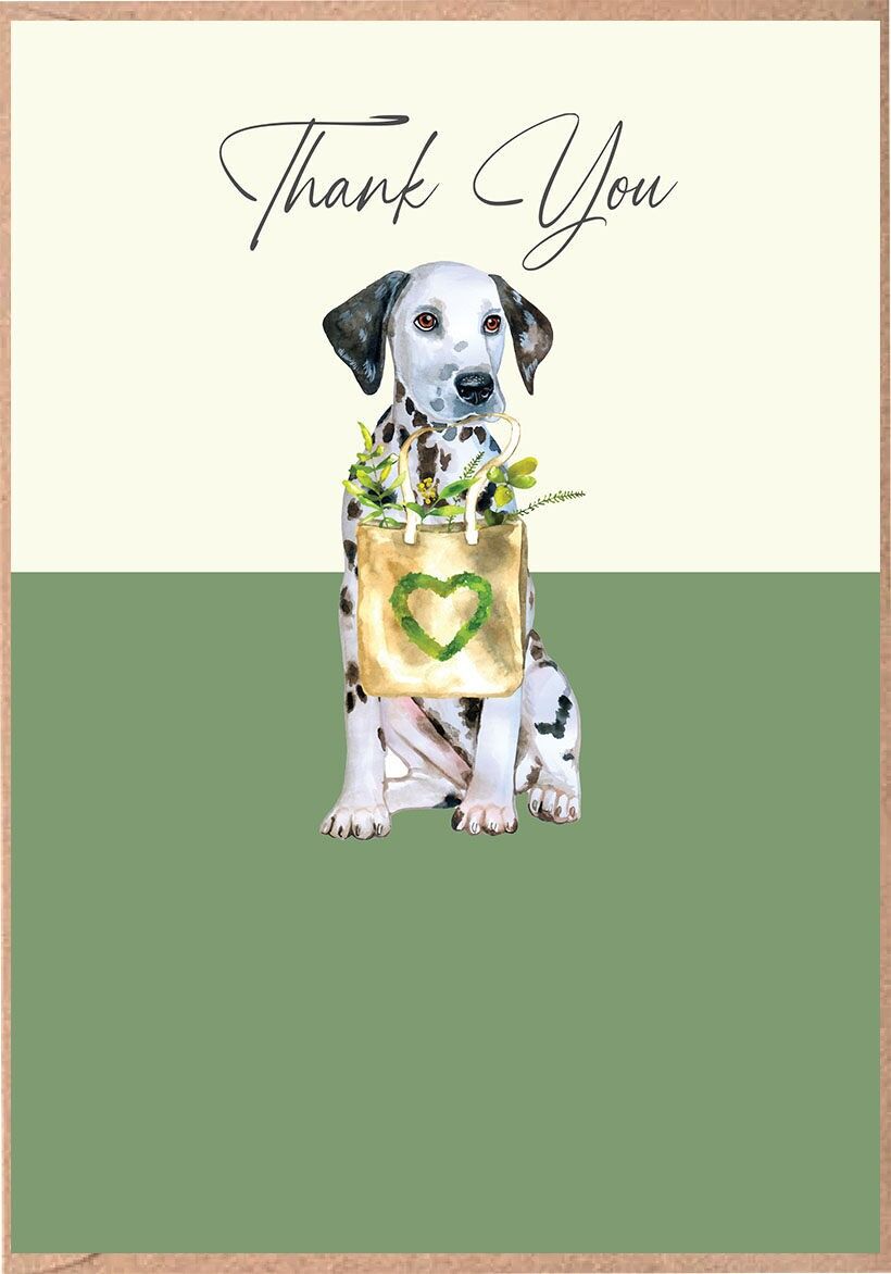 Mango - Gracias - Dálmata