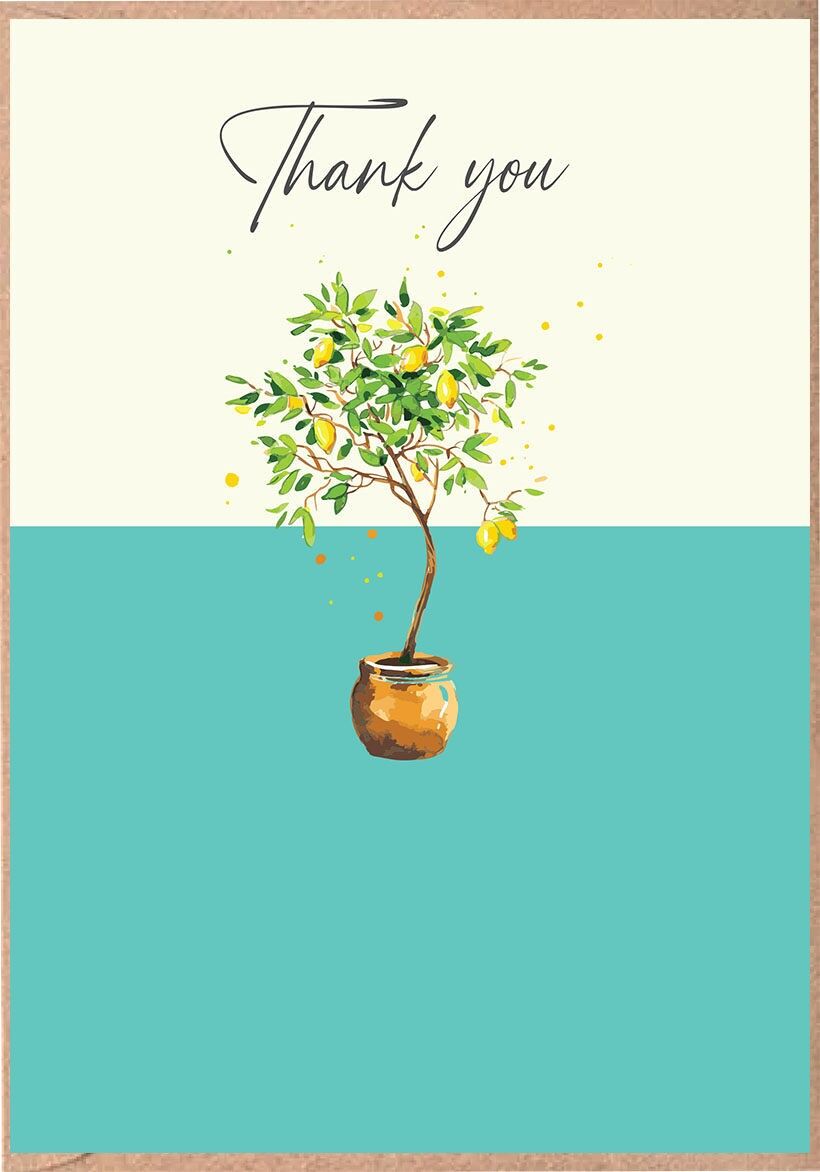 Mango -  Thank You - Lemon Tree