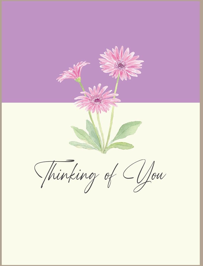 Pensando a te - Gerbera