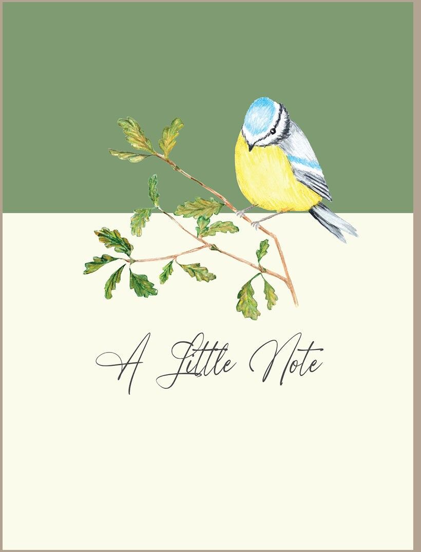 Una piccola nota - Cinciarella