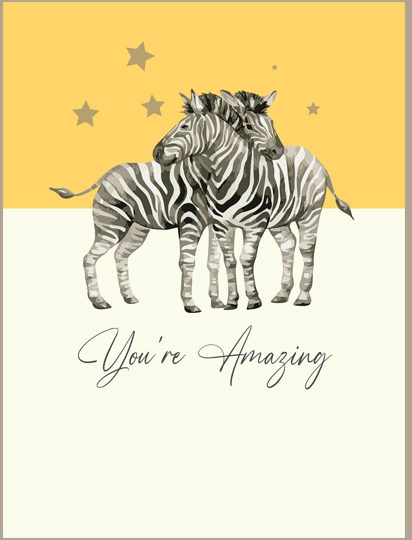 Sei incredibile - Zebre