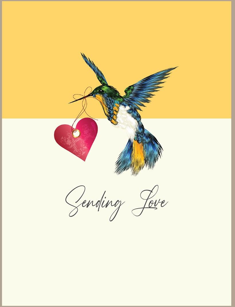 Inviando amore - Colibrì