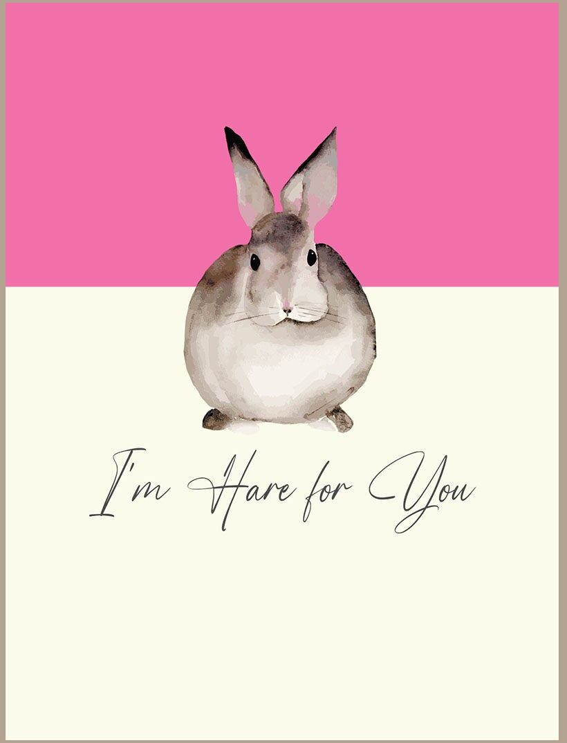 Sono una lepre per te - Lepre