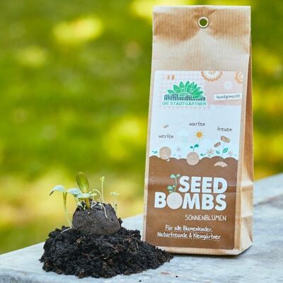 Bombas de semillas - 5 bolsas de papel - girasol