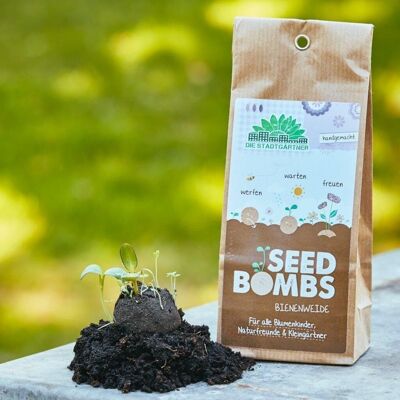 Bombas de semillas - 5 bolsas de papel - pasto de abejas