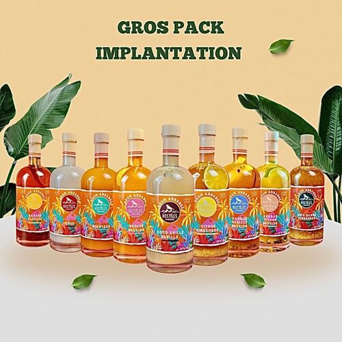 GROS PACK IMPLANTATION DÉCOUVERTE ( 9 x 6 BOUTEILLES PAR RECETTE)
