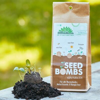 Bombes à graines - 5 sac en papier - bonheur à base de plantes