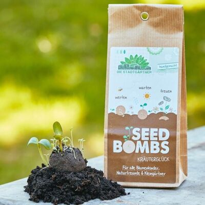 Bombas de semillas - 5 bolsas de papel - felicidad herbal