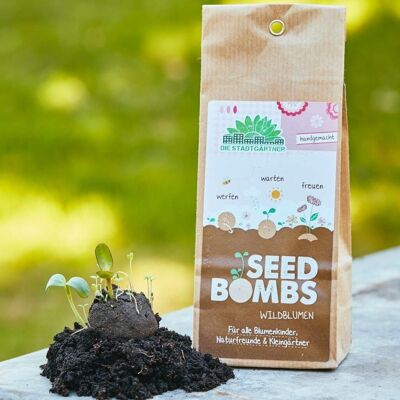 Bombas de semillas - Bolsa de papel de 5 - Flores silvestres