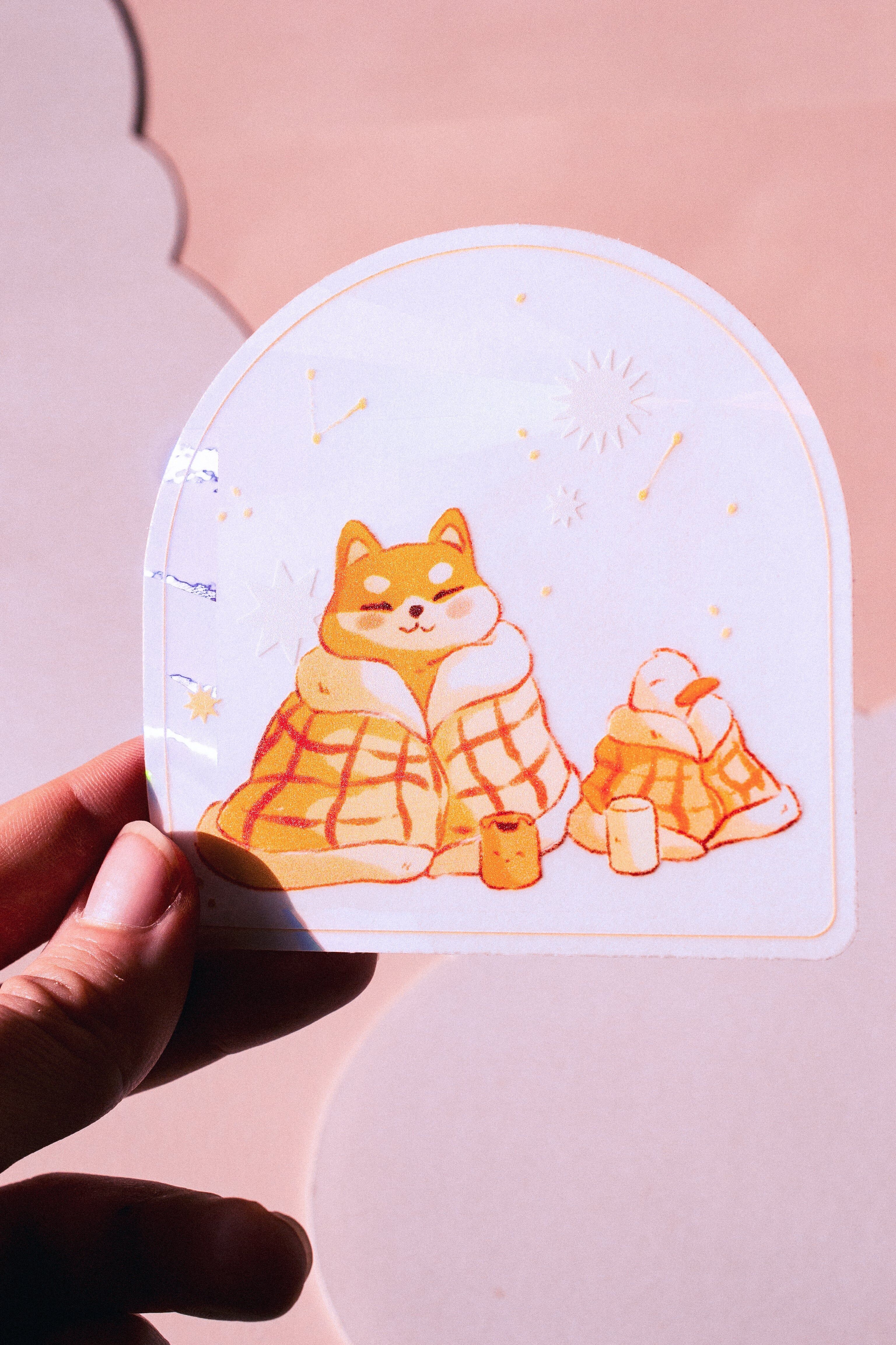 Acchiappasole: sotto la coperta