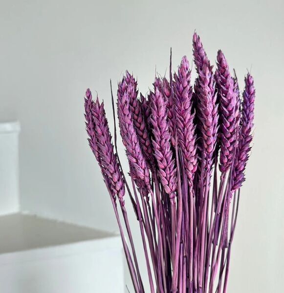 Stivale di grano viola