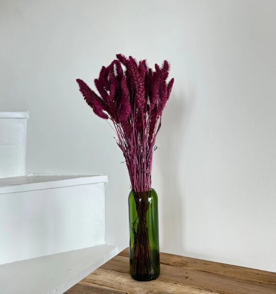 Stivale a coda di volpe Bordeaux