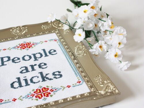 People Are Dicks- Rude Cross Stitch Kit