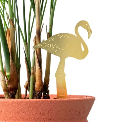 Pianta Animale Fenicottero