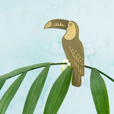 Tucano animale vegetale