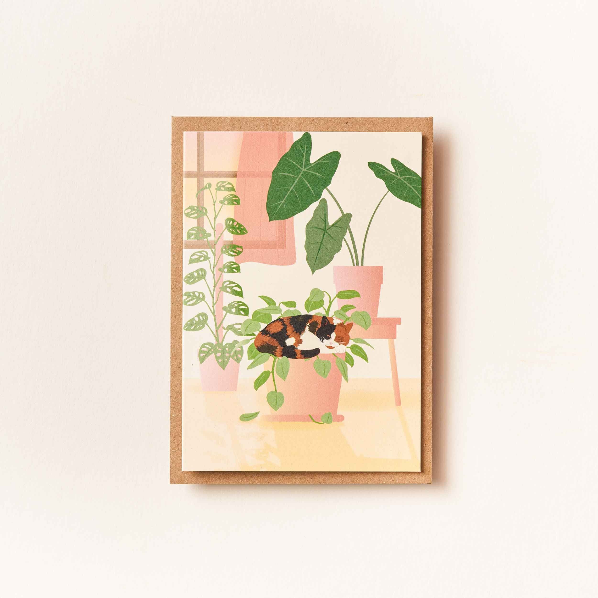 Calico-Katzenkarte „Naptime“