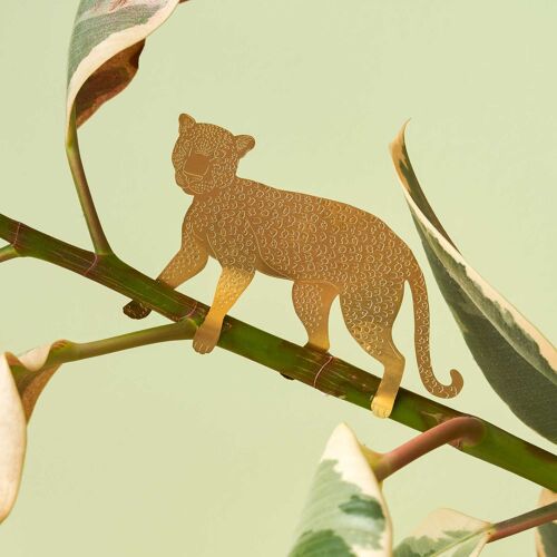 Plant Animal Leopard ~ Large edition