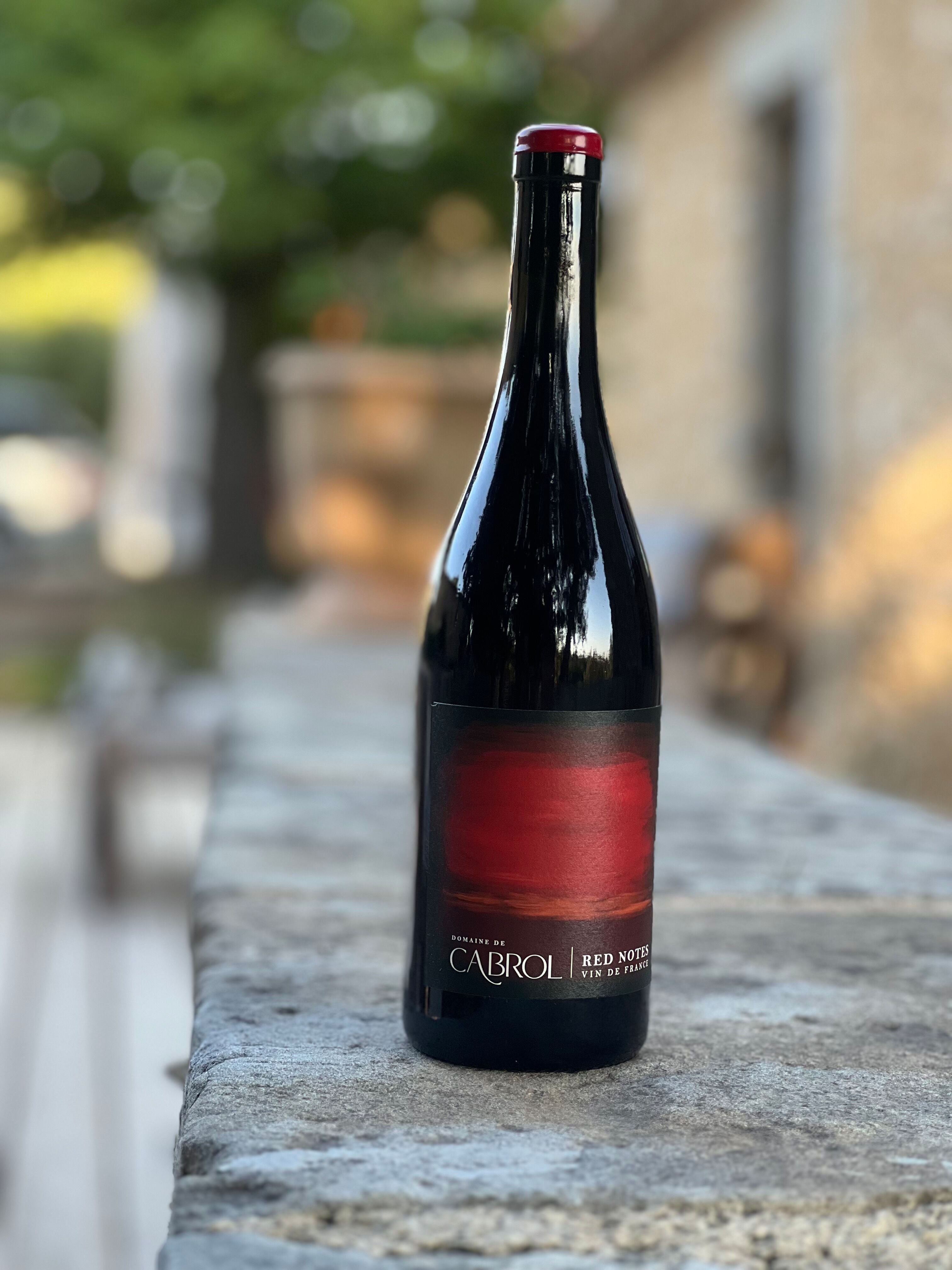 Vino rosso fruttato - Red Notes Cuvée