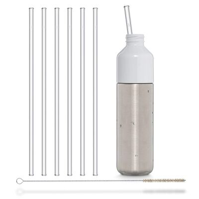 6x 30cm (straight) glass straws for bottles from 0.33 to 0.6 liters