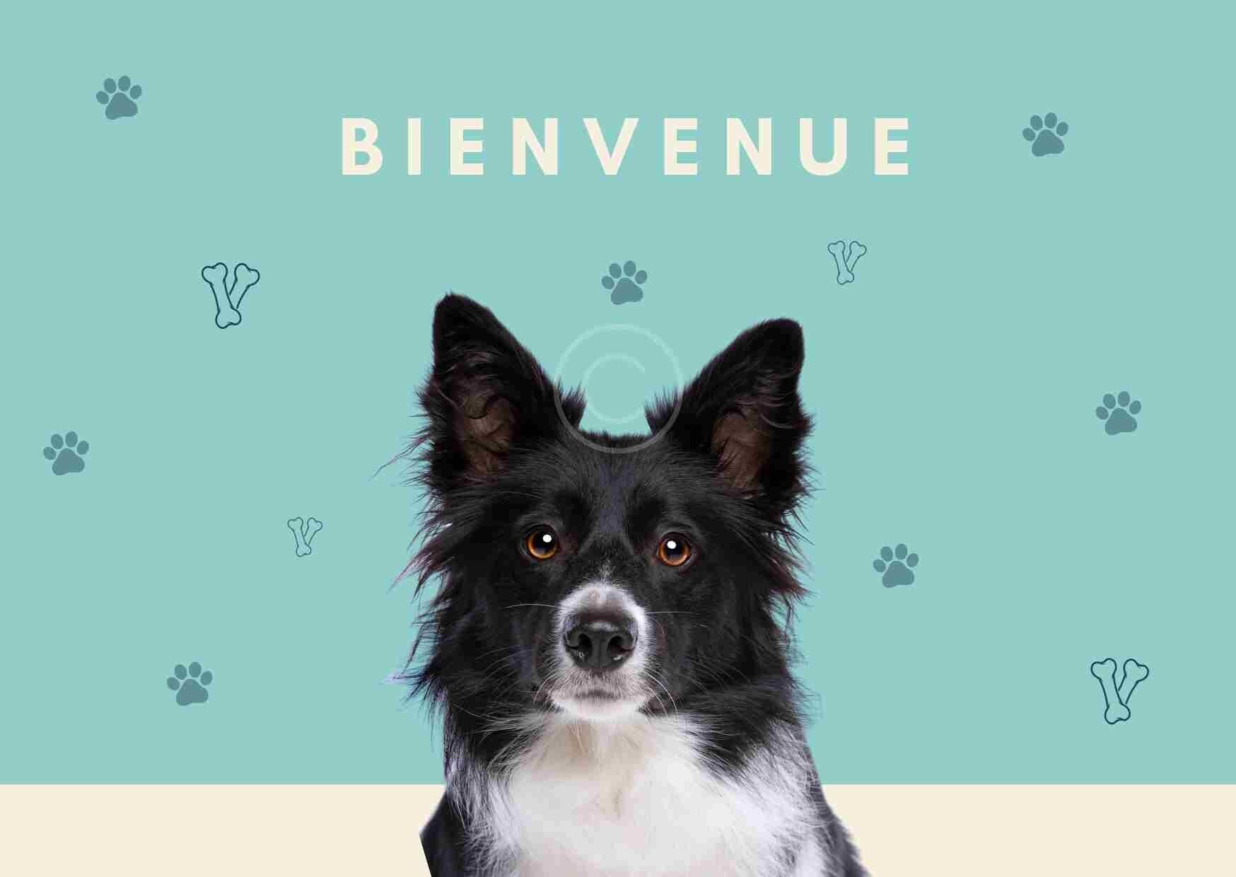 Cartolina in cartone A6 "Benvenuti"