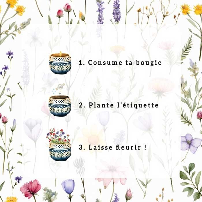 Bougie à faire fleurir - Madeleine de Proust