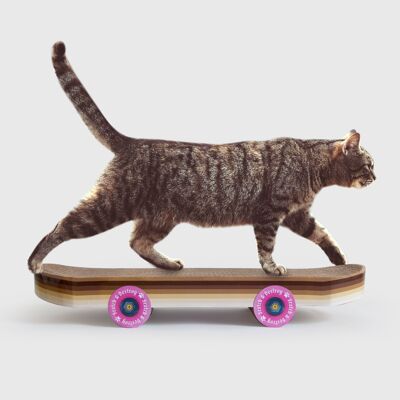 Cardboard Cat Scratcher - Cat Scratch Skateboard